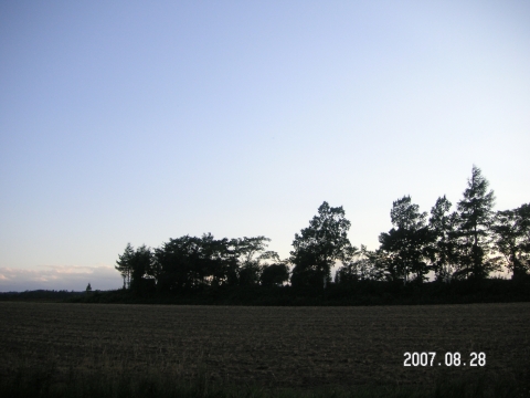 s_PICT0361.jpg